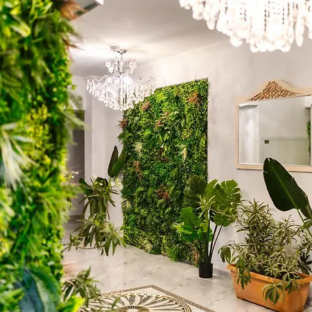 Zig-zag 17 * Constanta