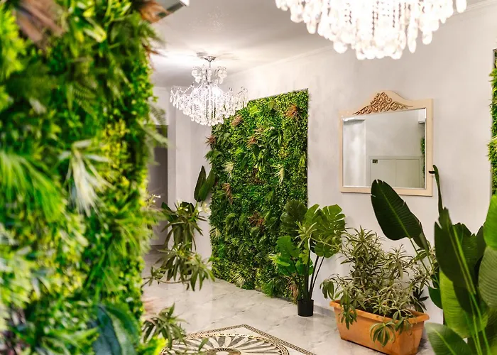 Zig-zag 17 * Constanta