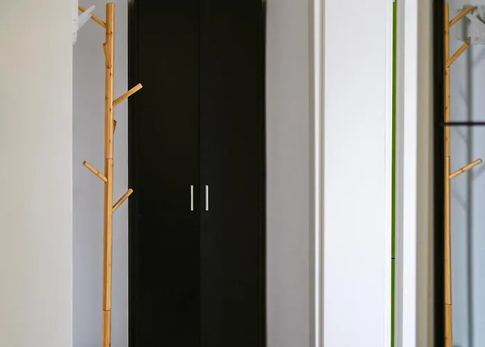 Zig-zag 17 Constanta